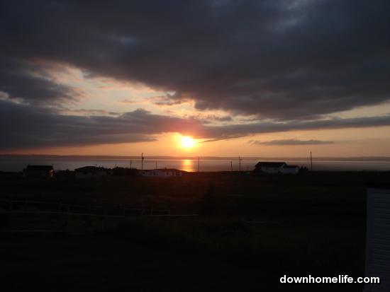Main Gallery Display