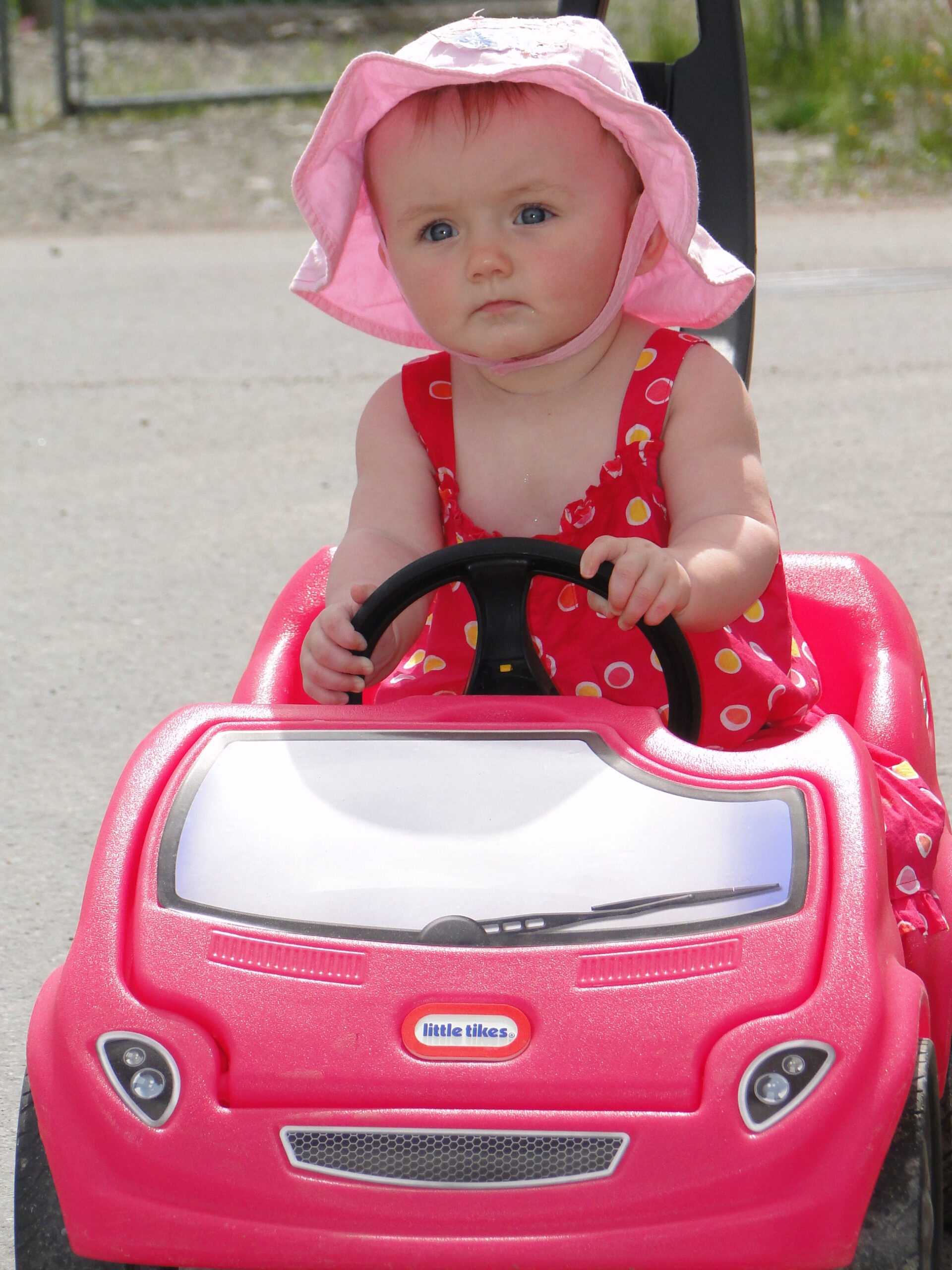 Main Gallery Display