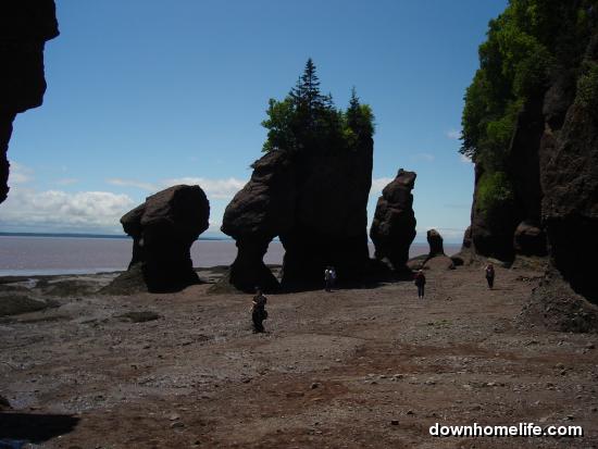 Main Gallery Display