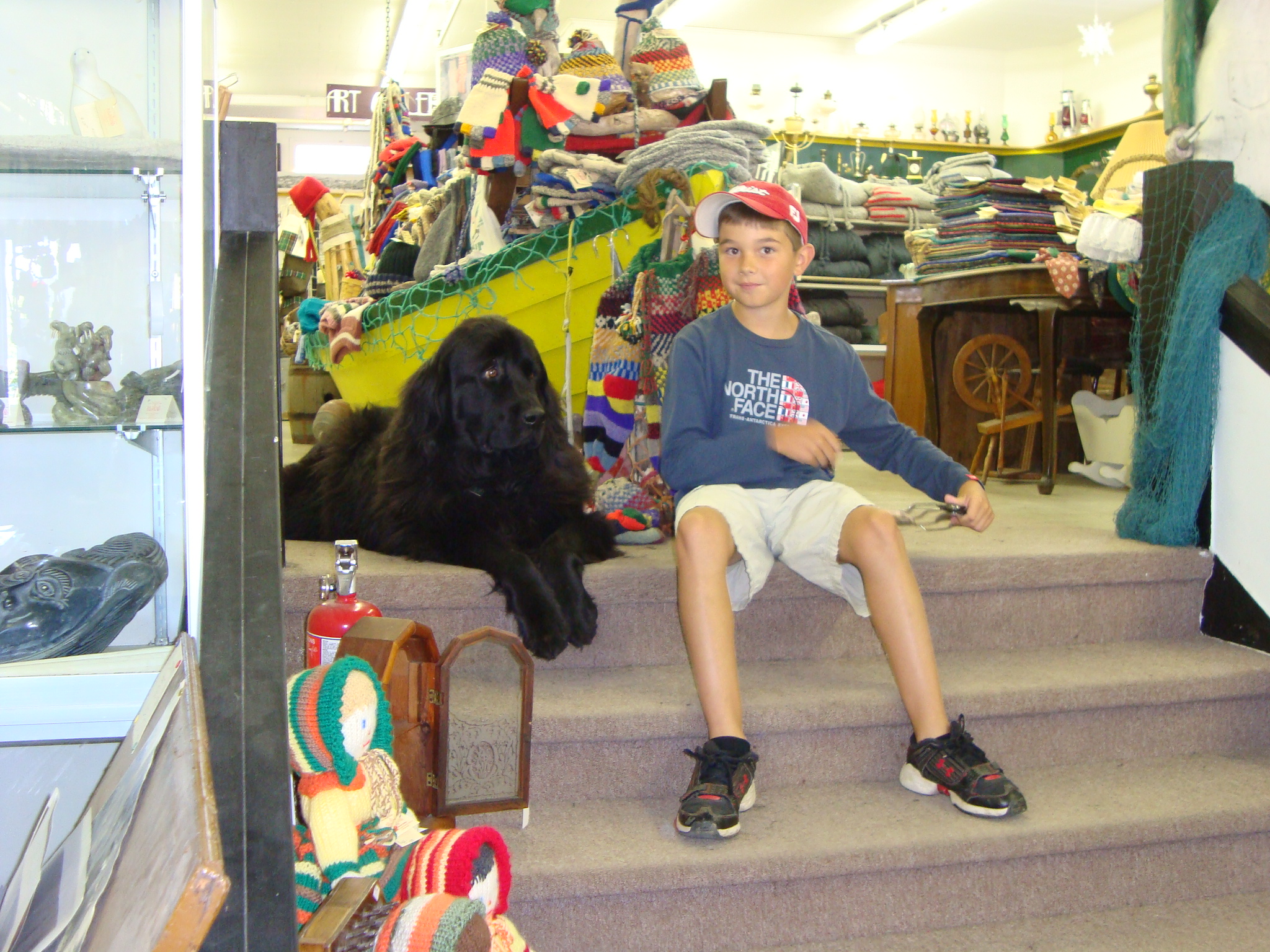 Main Gallery Display