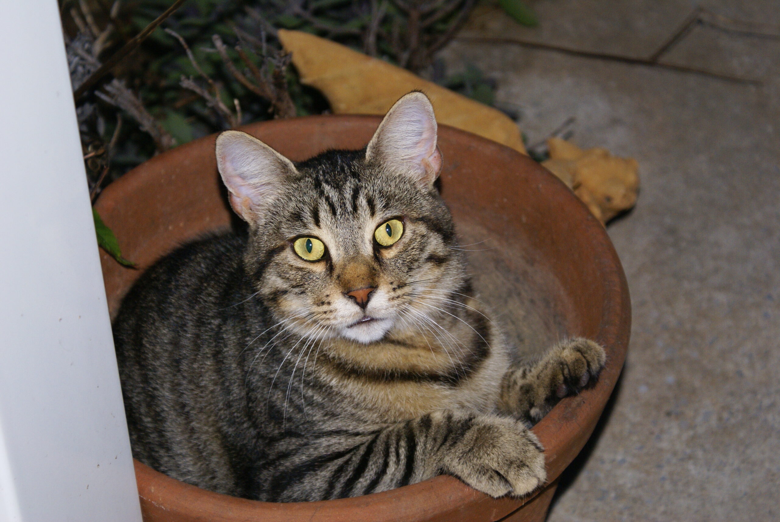 Main Gallery Display