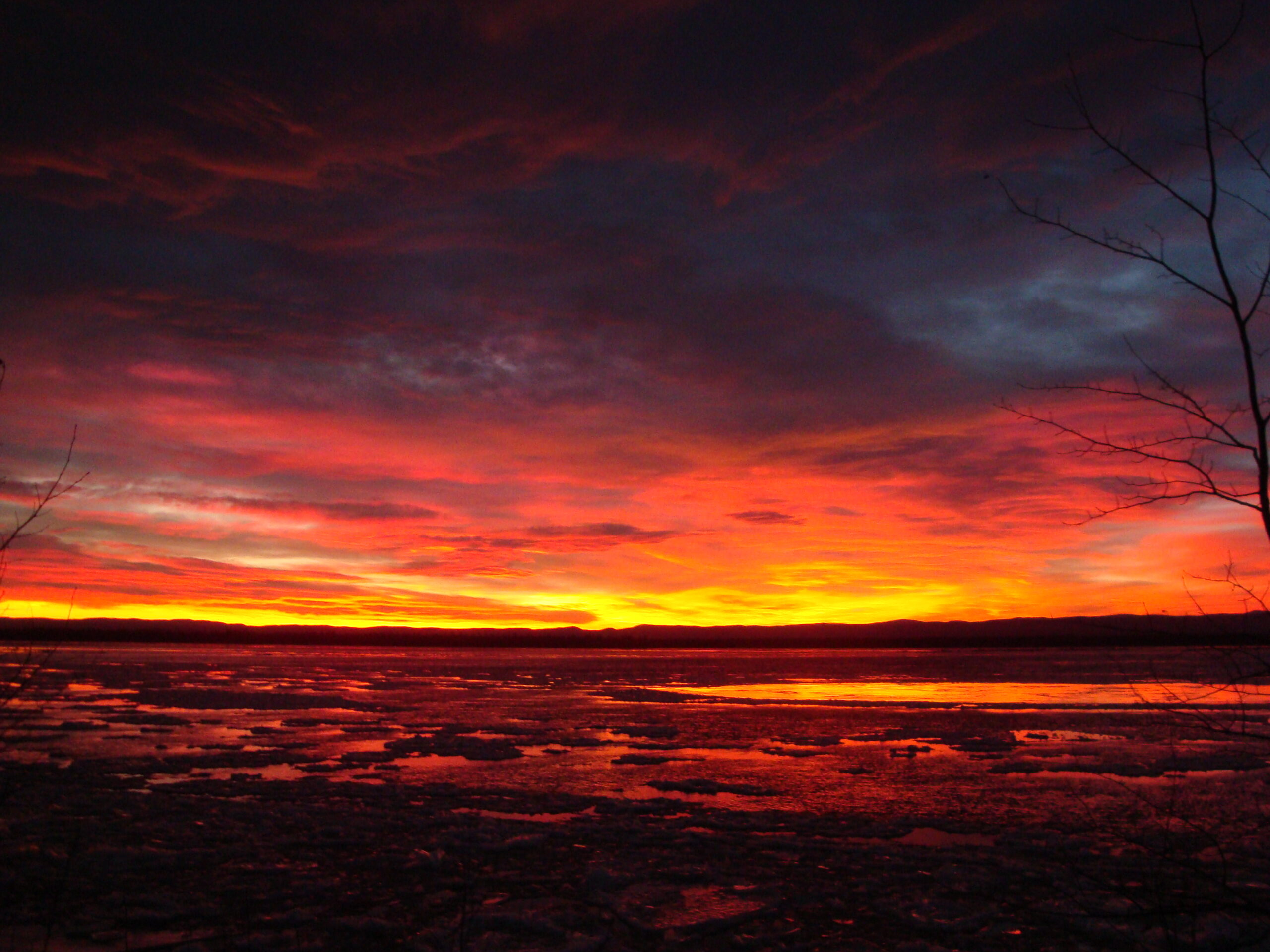 Main Gallery Display