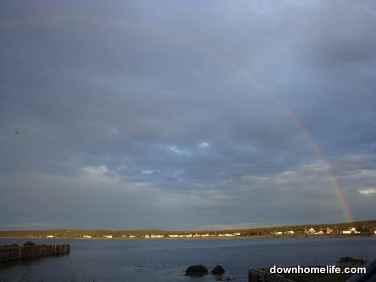 Main Gallery Display