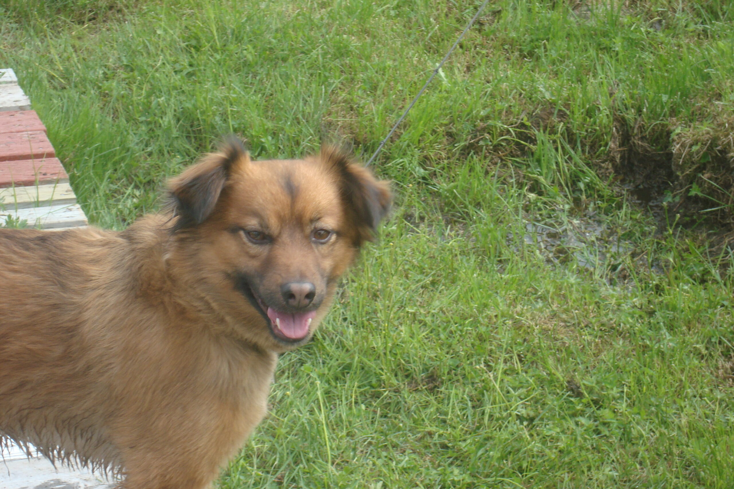 Main Gallery Display
