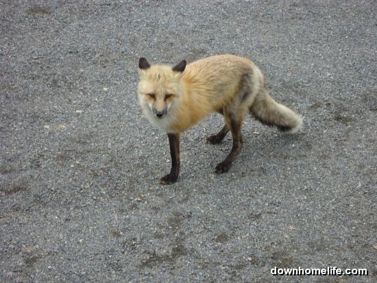 Main Gallery Display