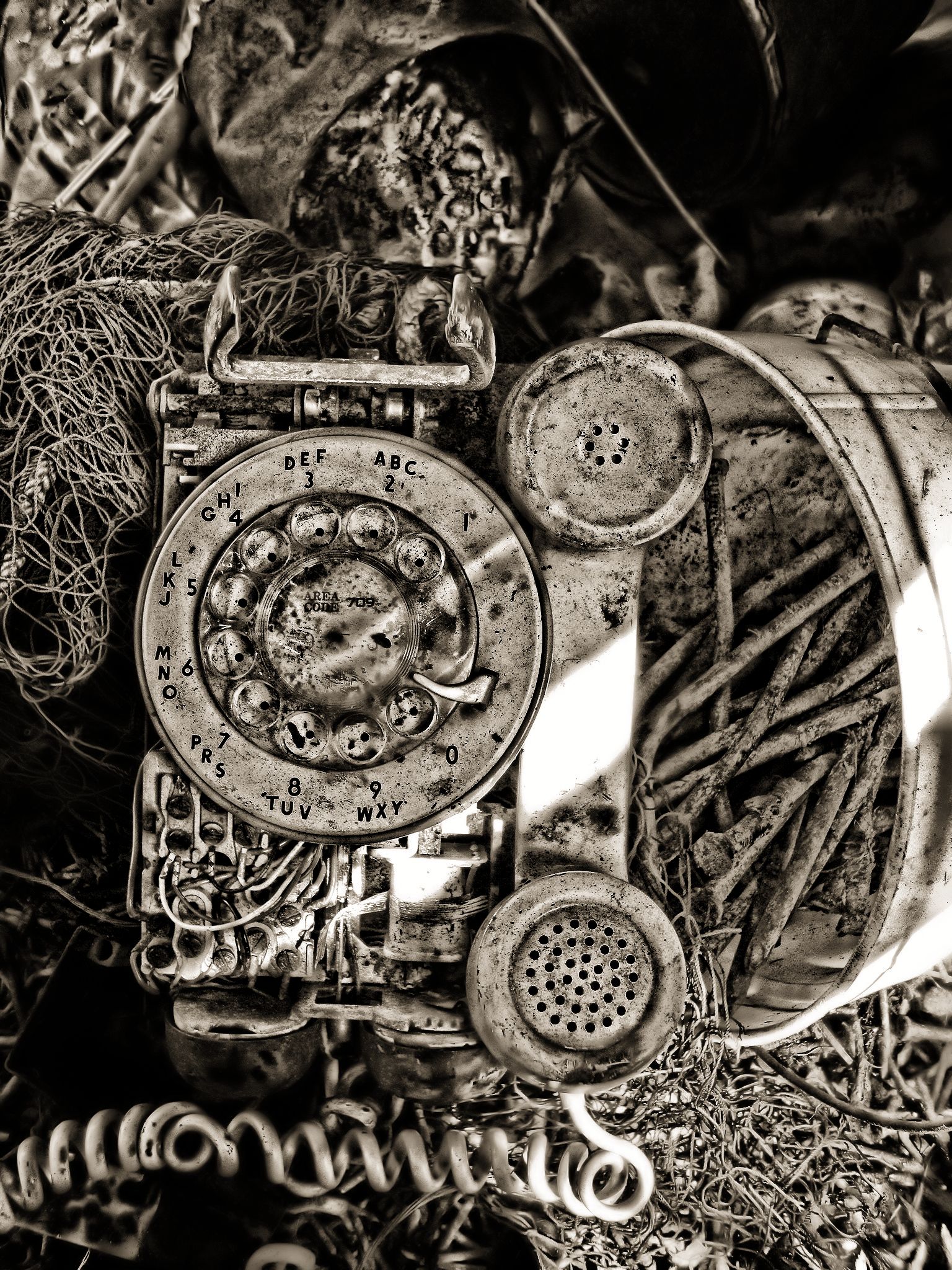 Main Gallery Display