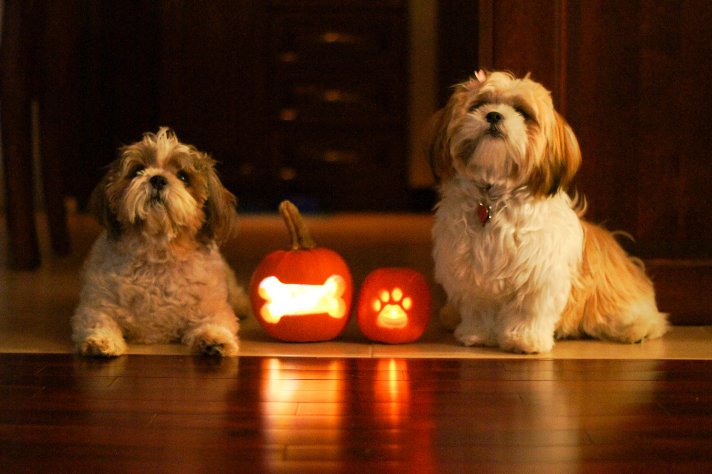 Main Gallery Display
