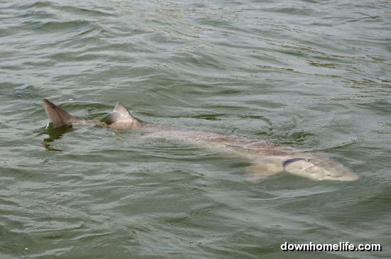 Main Gallery Display
