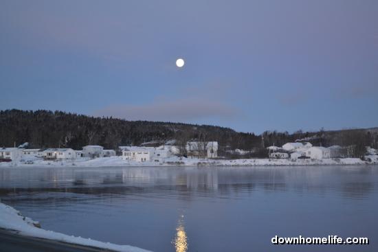 Main Gallery Display
