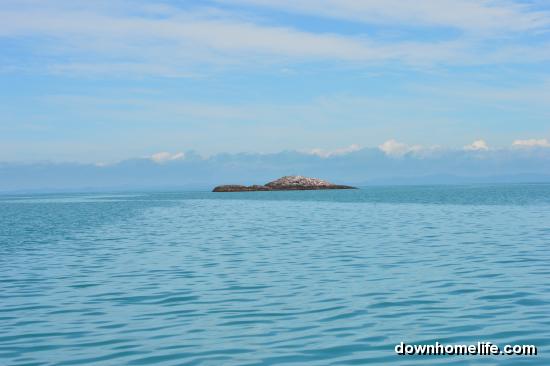 Main Gallery Display