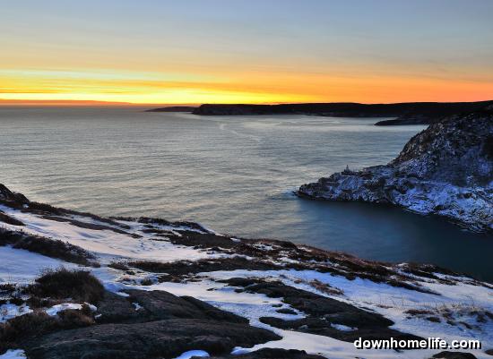 Main Gallery Display
