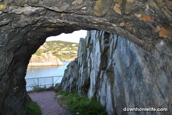 Main Gallery Display