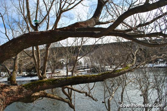 Main Gallery Display