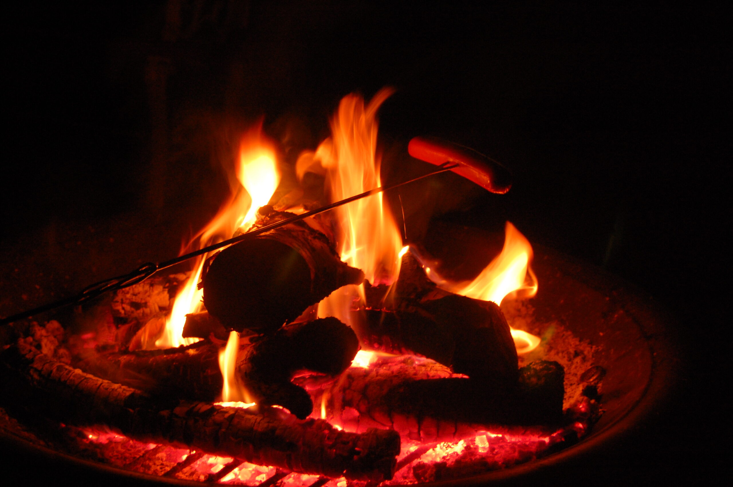 Main Gallery Display