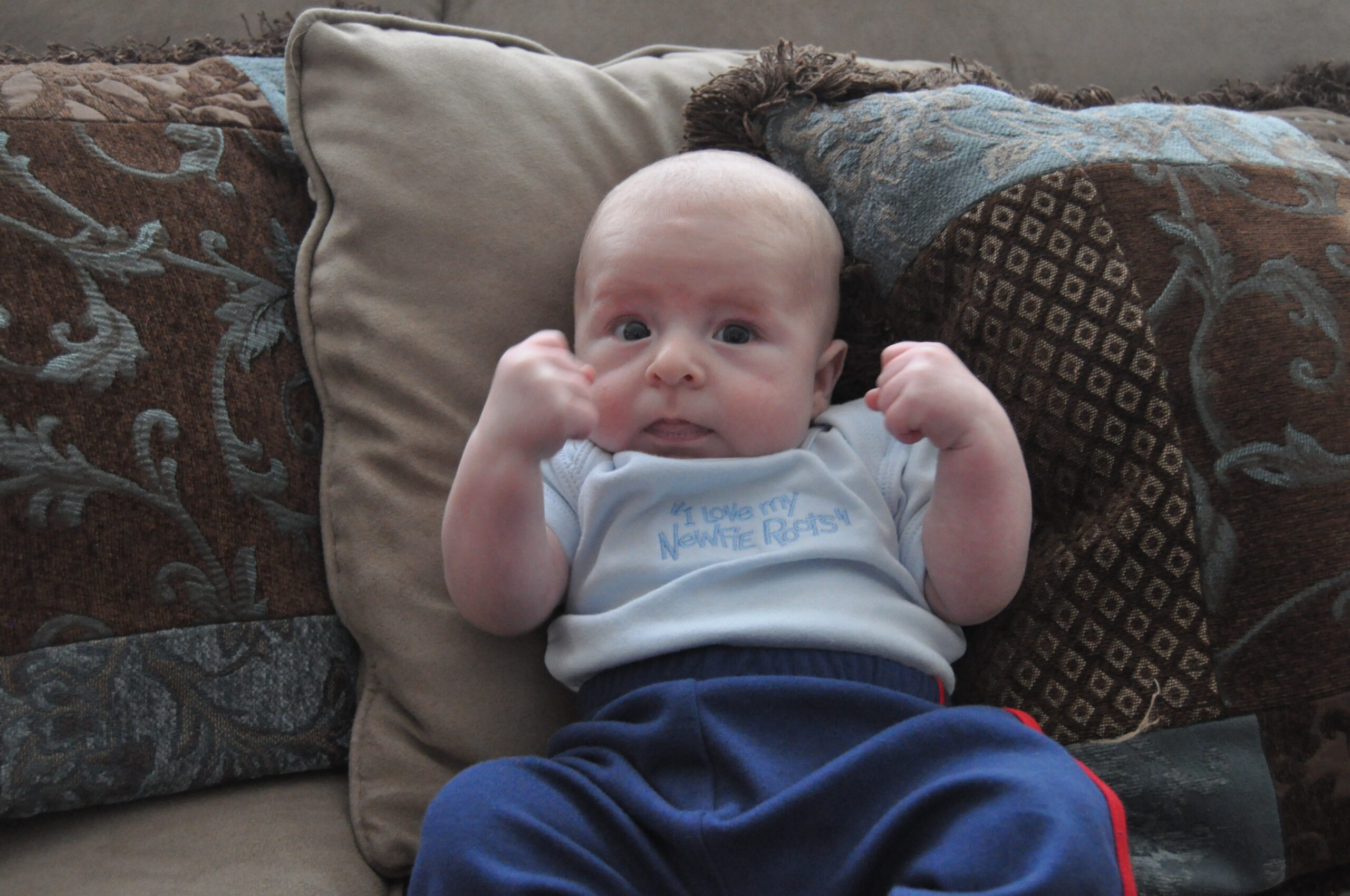 Main Gallery Display