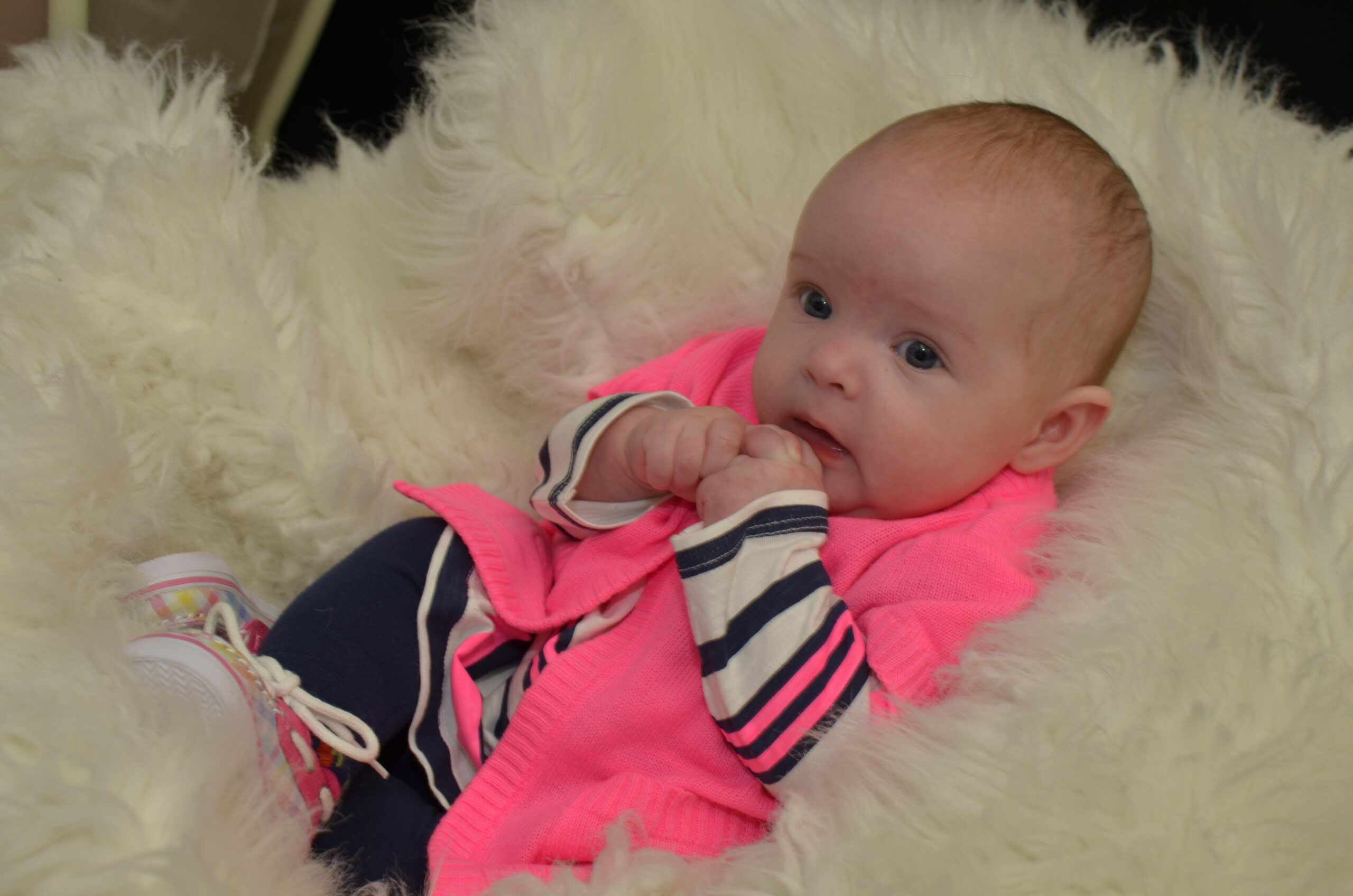 Main Gallery Display