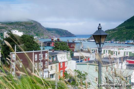 Main Gallery Display