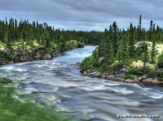 Main Gallery Display