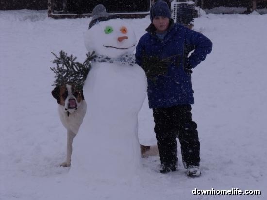 Main Gallery Display