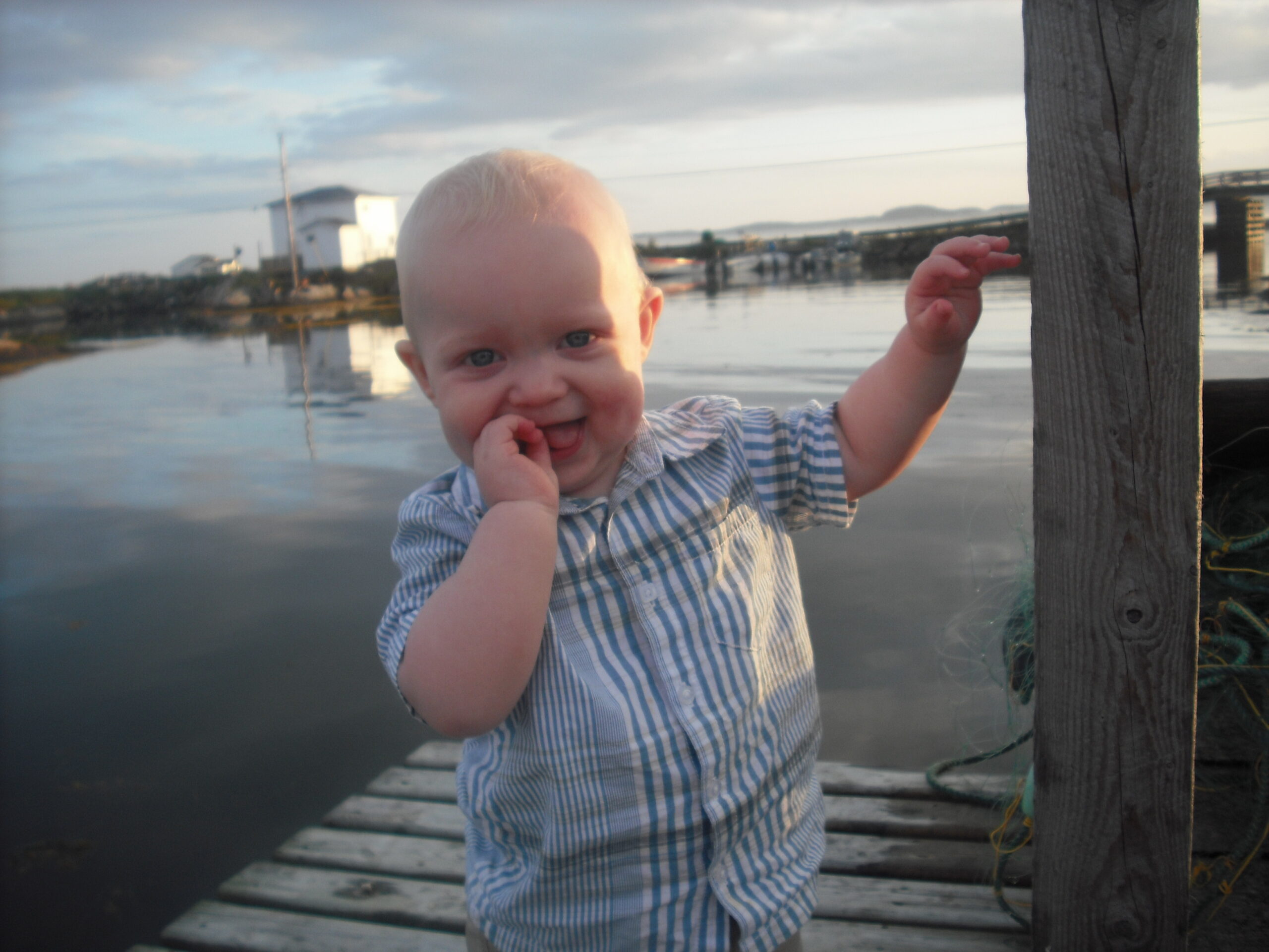 Main Gallery Display