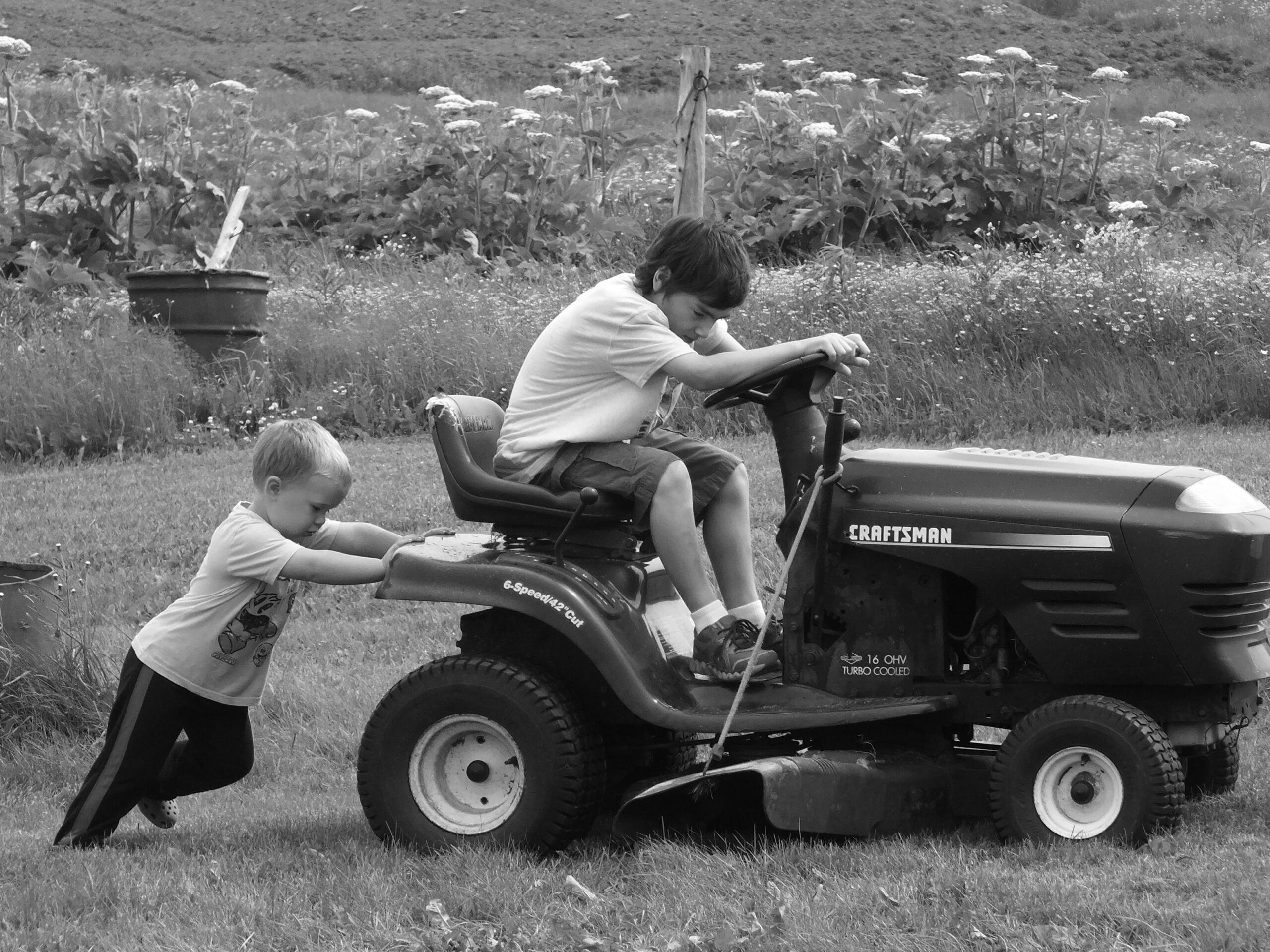 Main Gallery Display