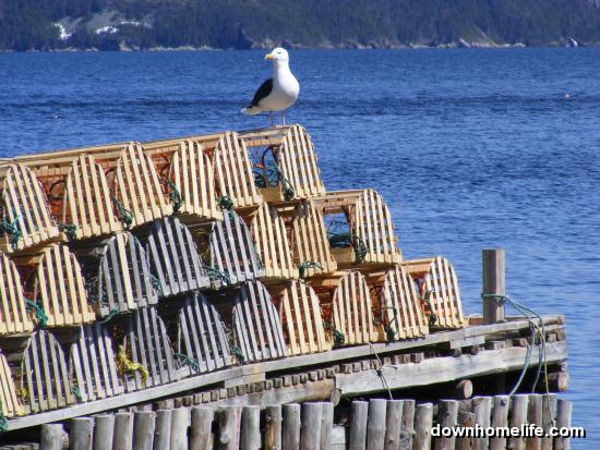 Main Gallery Display