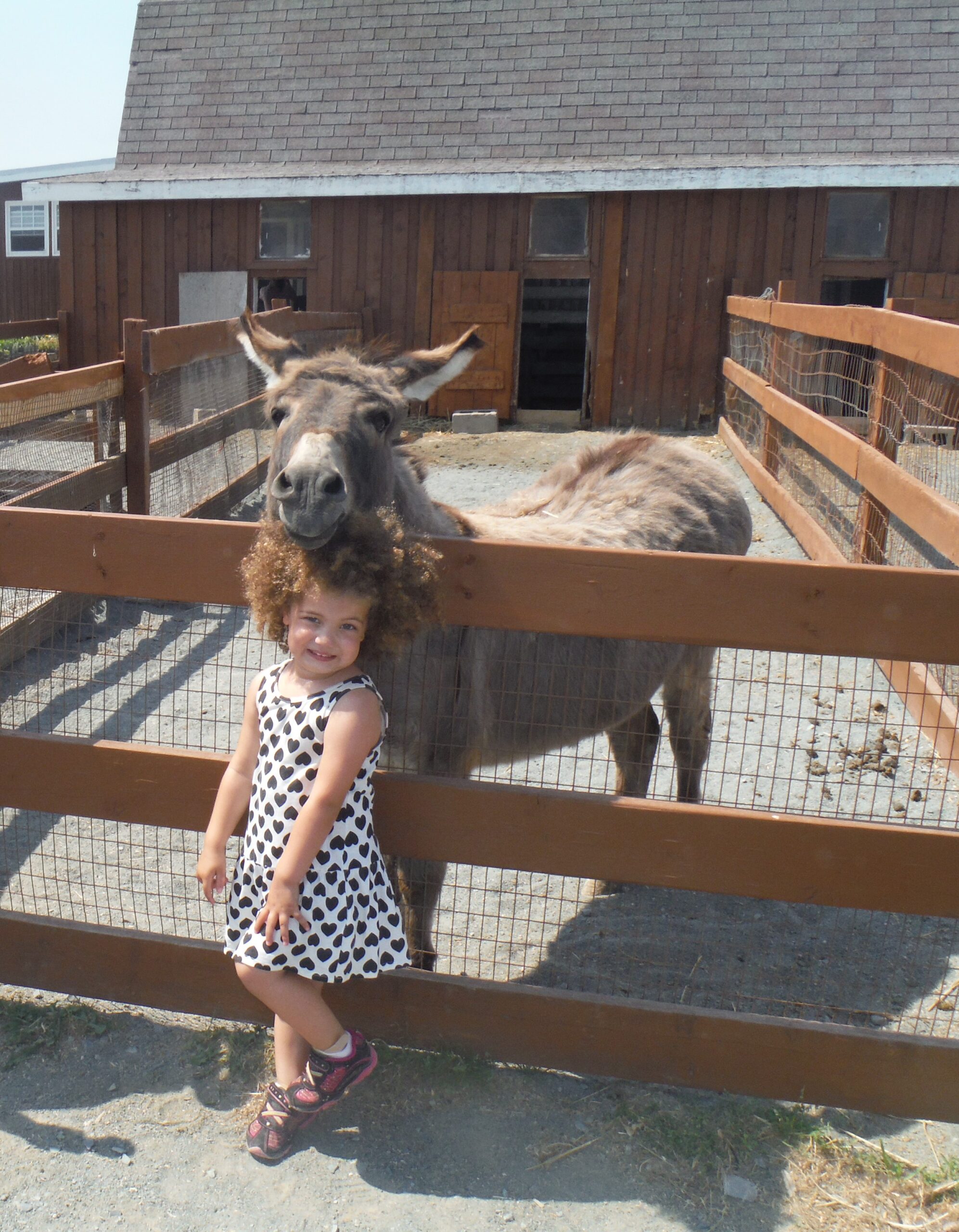 Main Gallery Display