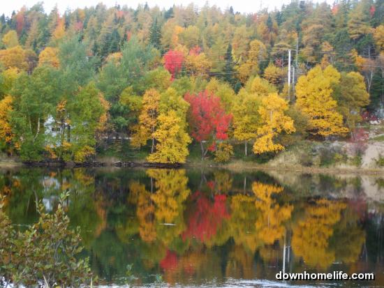 Main Gallery Display
