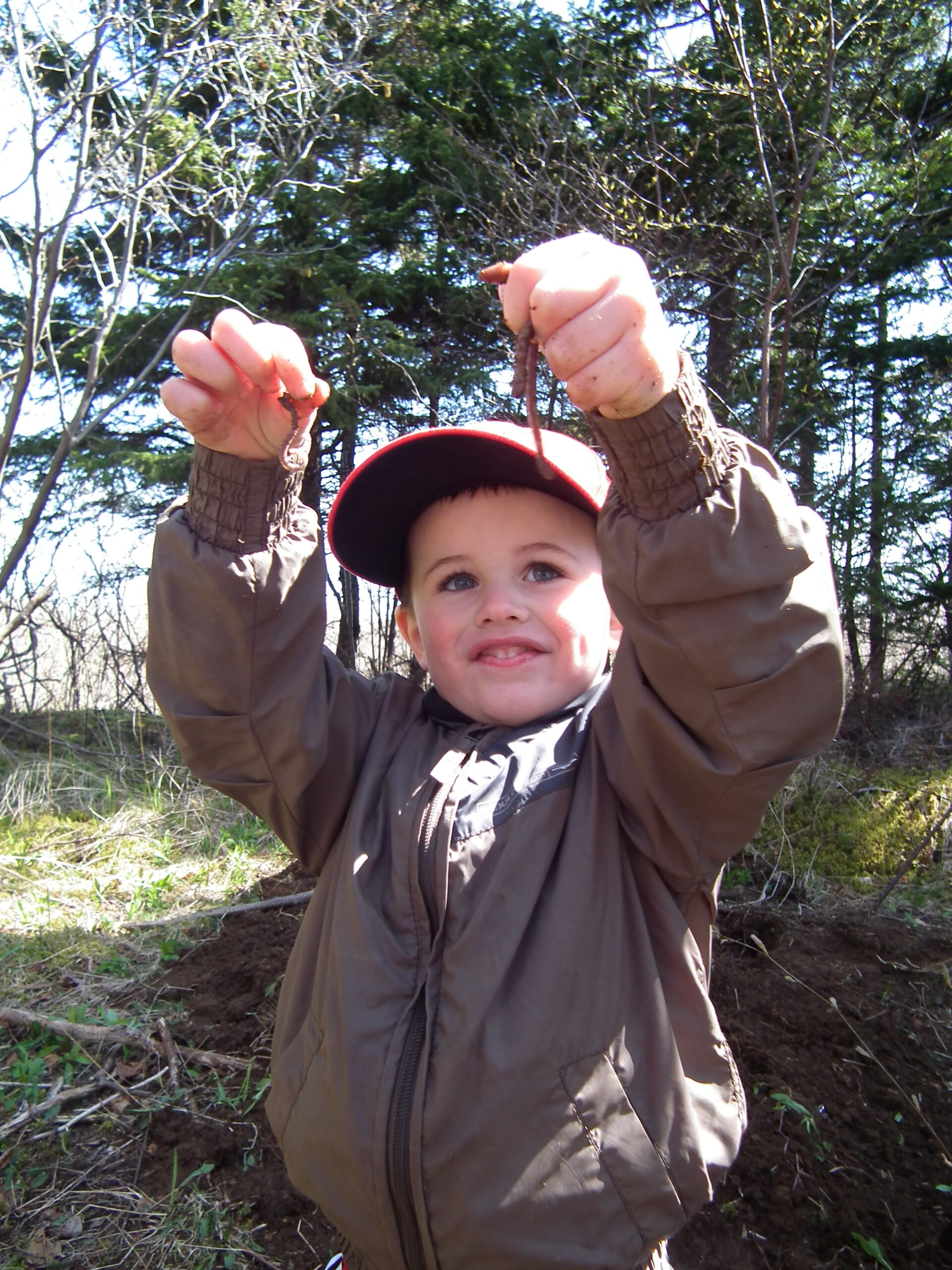 Main Gallery Display