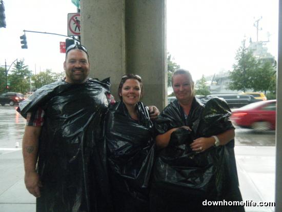 Main Gallery Display