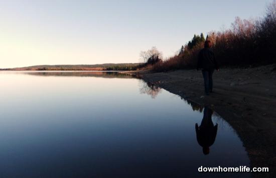 Main Gallery Display