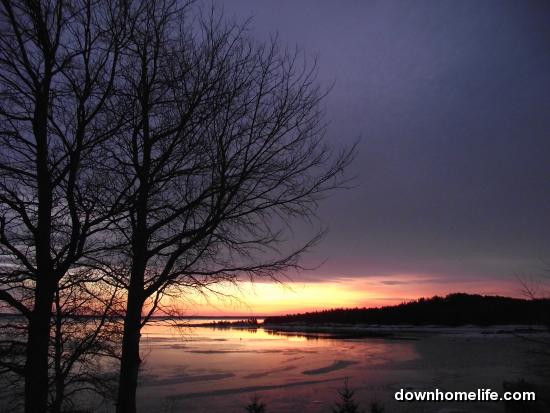 Main Gallery Display