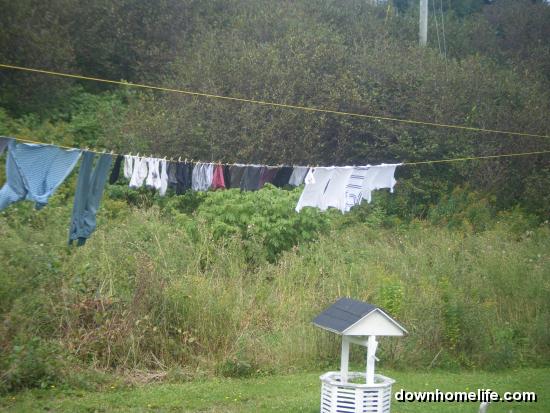 Main Gallery Display