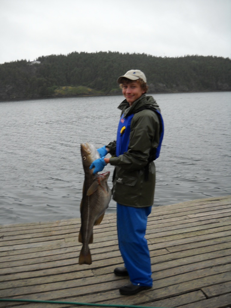 Main Gallery Display