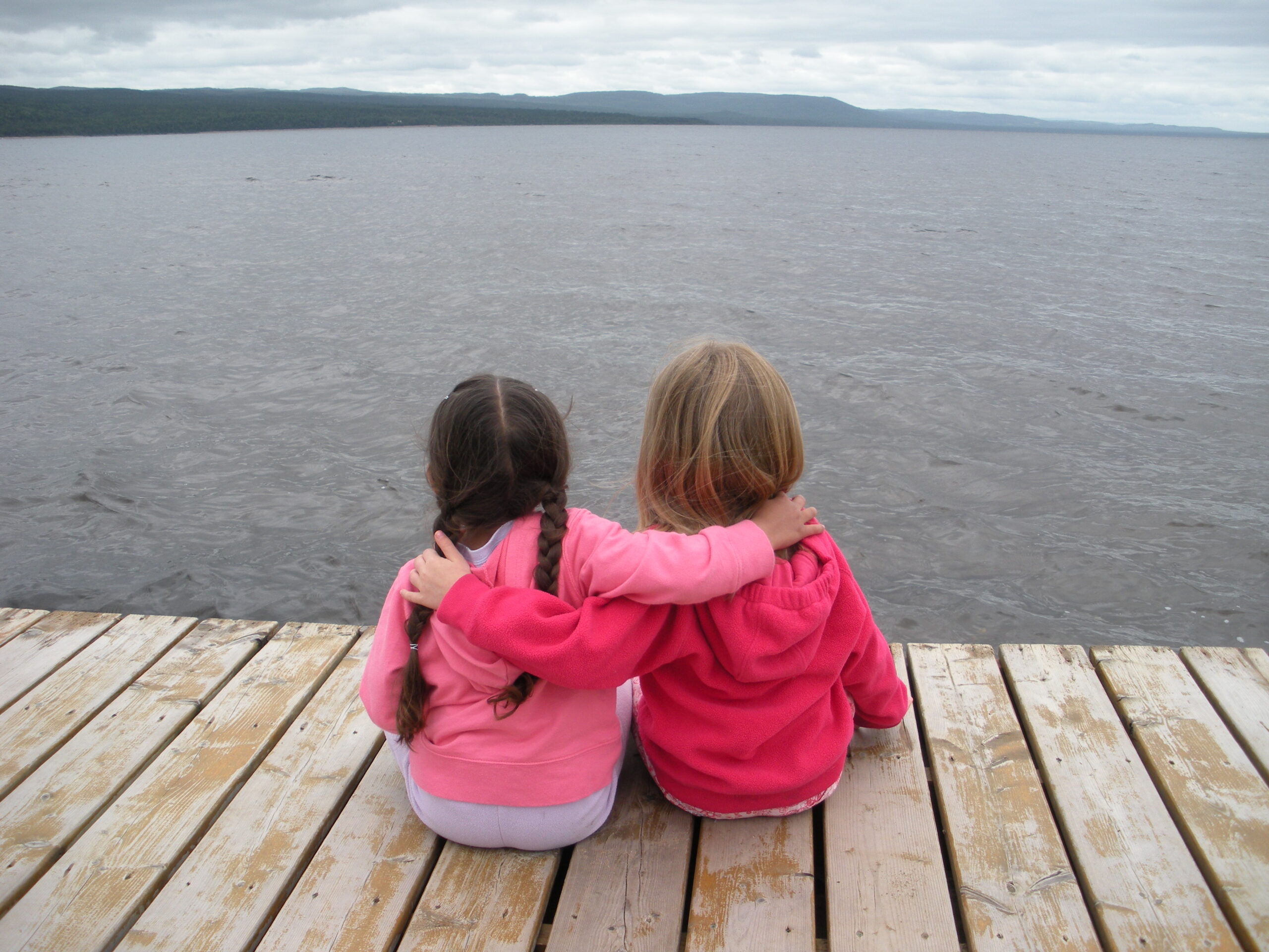 Main Gallery Display