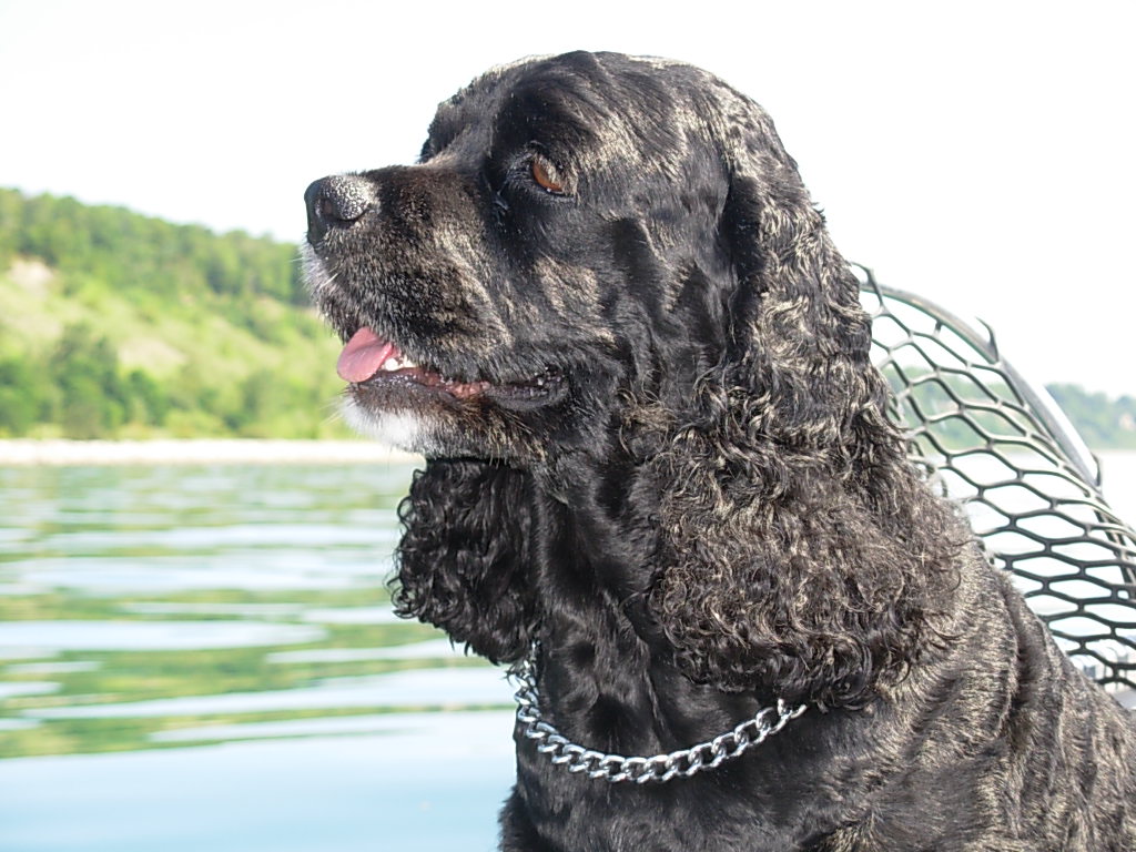 Main Gallery Display