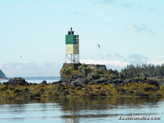 Main Gallery Display