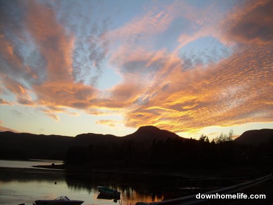 Main Gallery Display