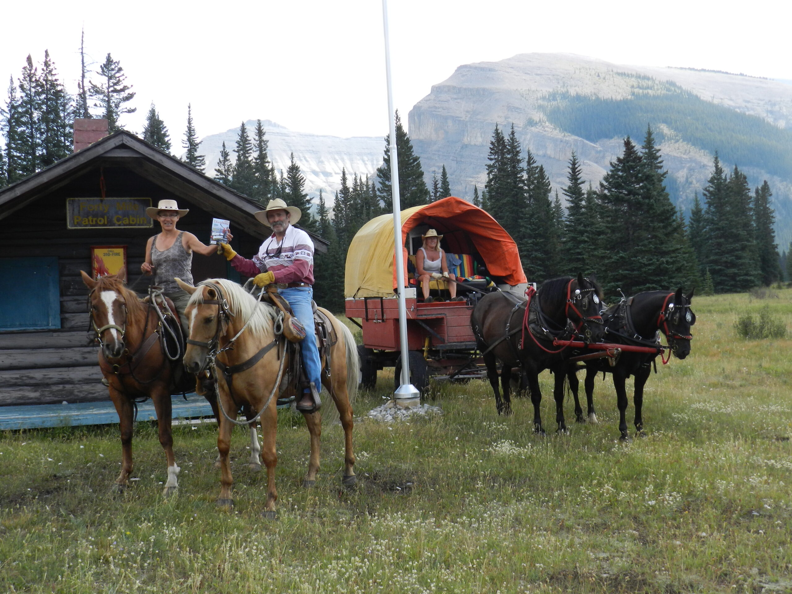 Main Gallery Display