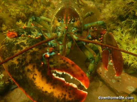 Main Gallery Display