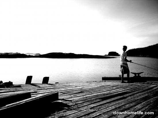 Main Gallery Display