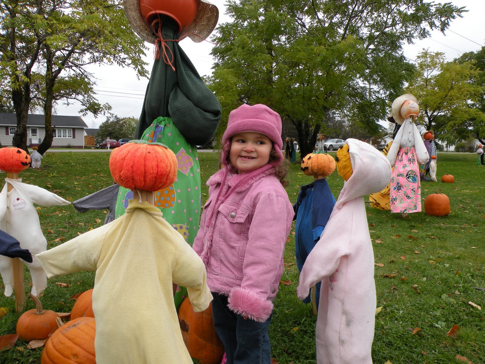 Main Gallery Display