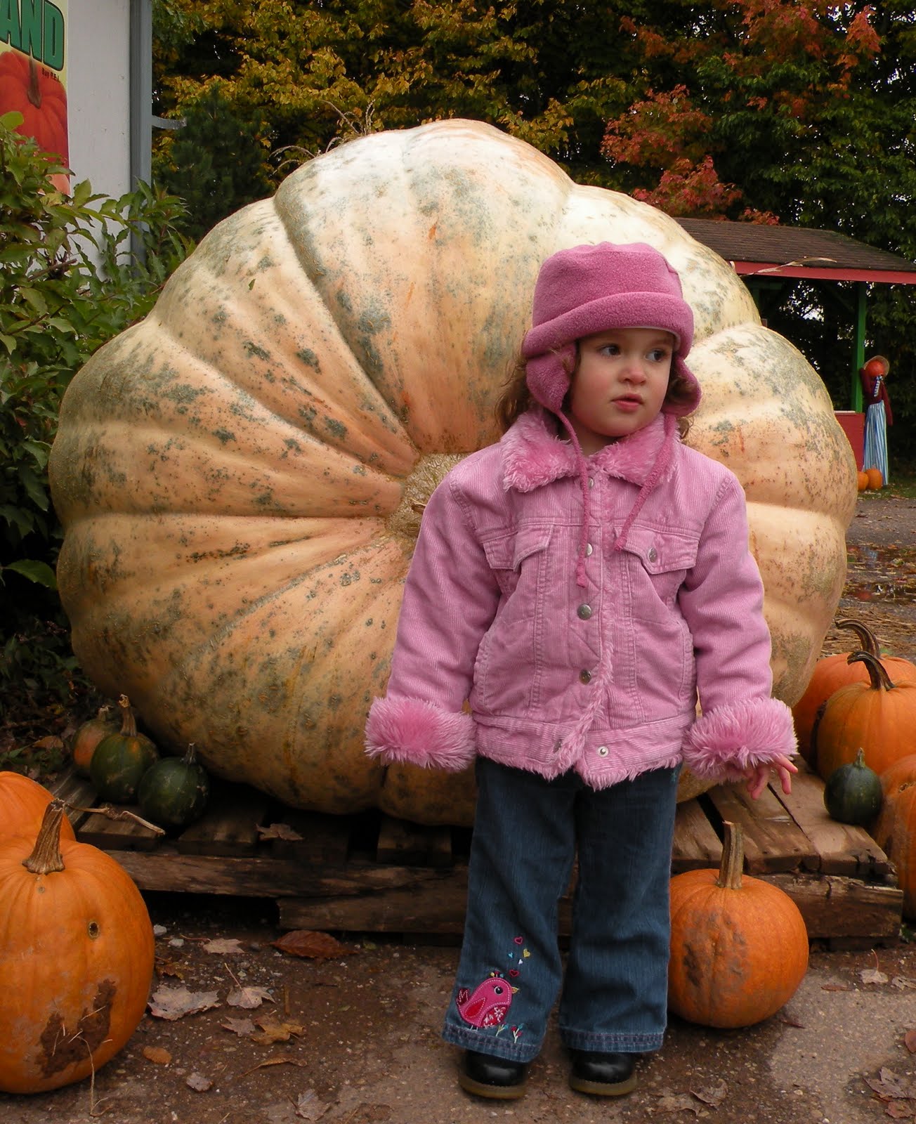 Main Gallery Display