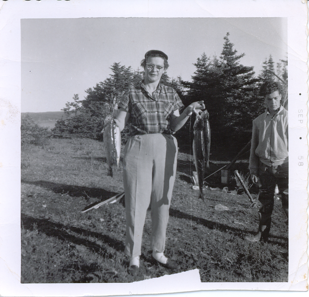 Main Gallery Display
