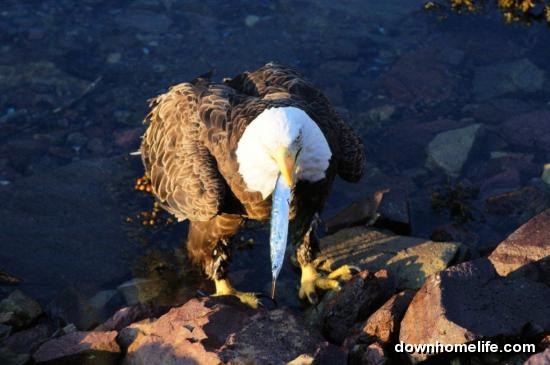 Main Gallery Display