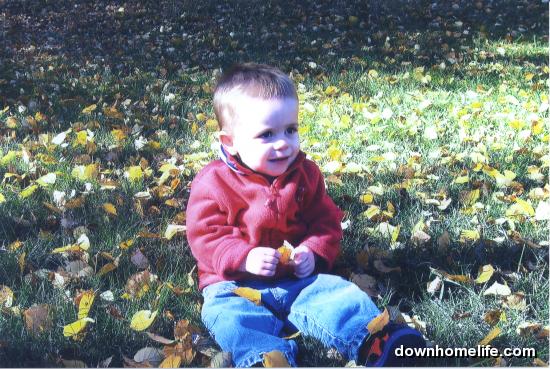 Main Gallery Display