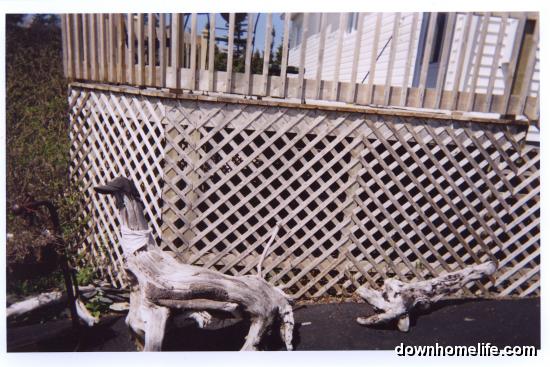 Main Gallery Display