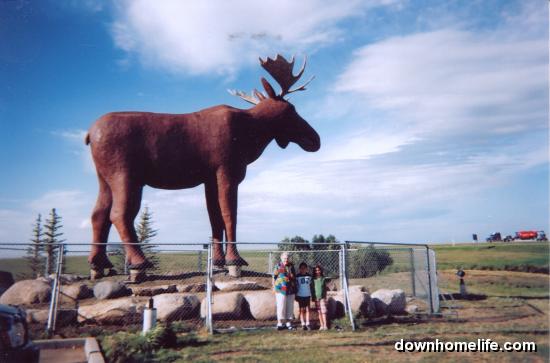 Main Gallery Display