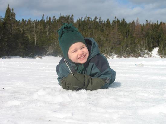 Main Gallery Display