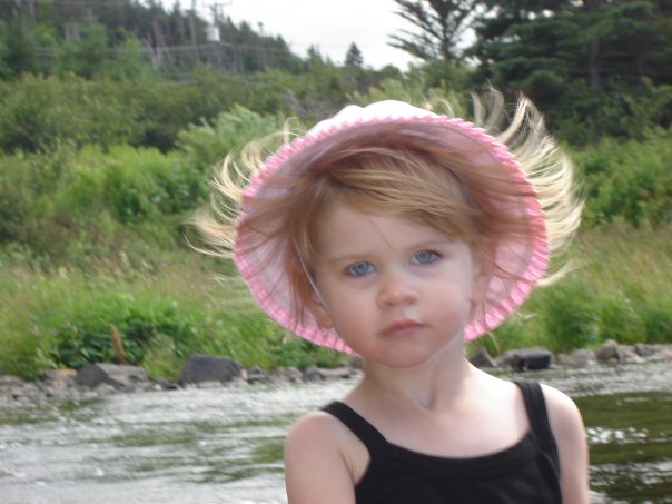 Main Gallery Display